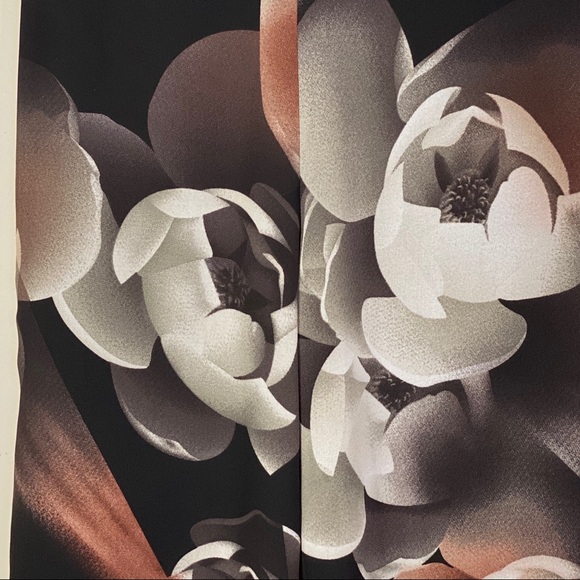 High Waist Wide Leg Floral Sheer Pants - Picture 8 of 14